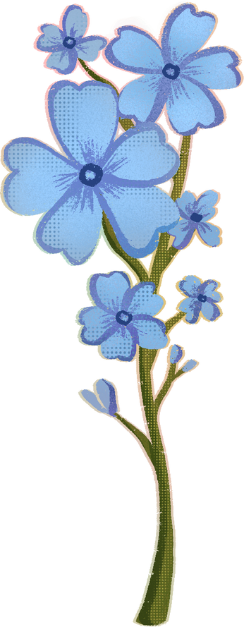 Texture Risograph Forget Me Not Flowers